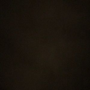 Meet your Posher, Dan